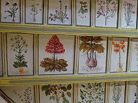 Chateau de Mauriac (52), Chambre de l'herbier, Plafond